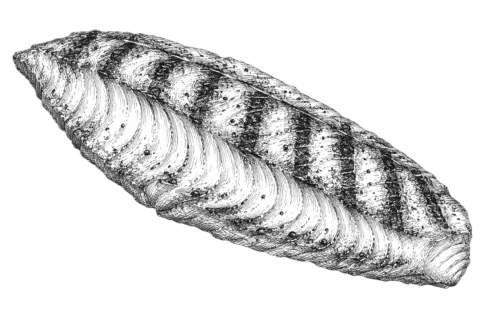 F16fa59e 91ce 4fe2 9ebf bf4bfa014ec6